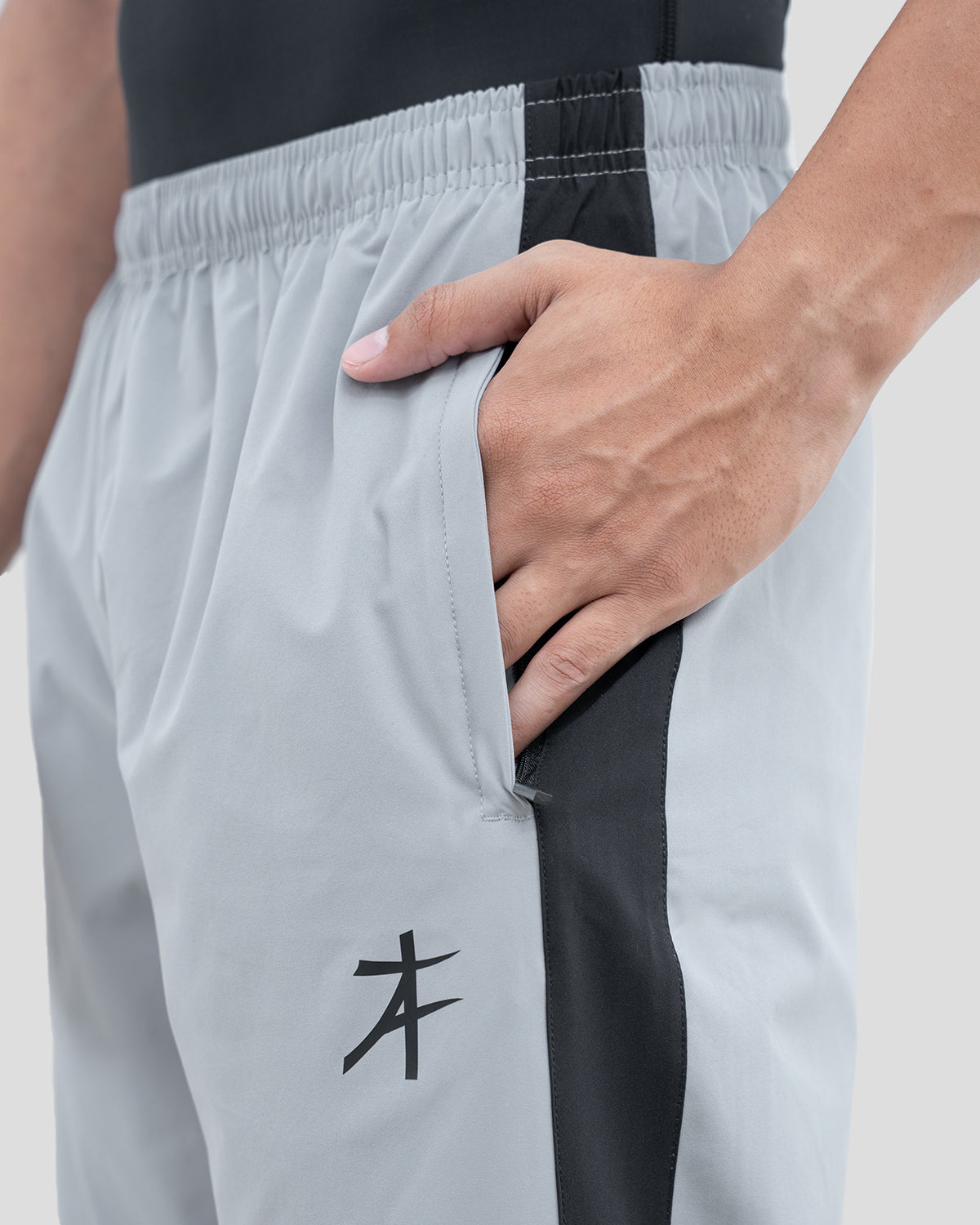 Monotone Fit